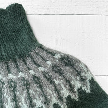 Load image into Gallery viewer, Alder Fair Isle yoke jumper (forest green)